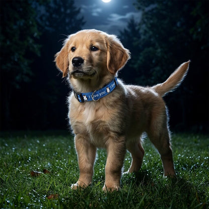 Custom Glow-in-the-Dark Knitted Collar, Personalized Pattern Pet Collar with Adjustable Fit, Quick-Release Buckle, Reinforced D-Ring, Soft Breathable Fabric for Small Medium Large Dogs（Free Shipping）