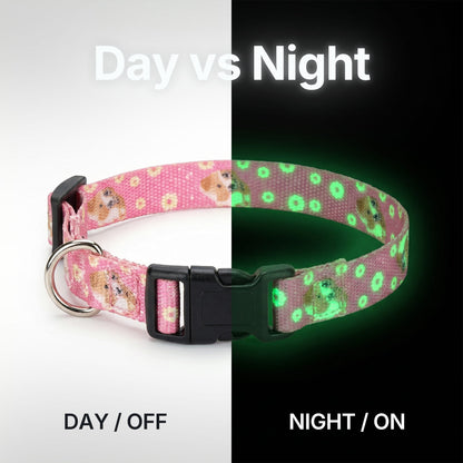 Custom Glow-in-the-Dark Knitted Collar, Personalized Pattern Pet Collar with Adjustable Fit, Quick-Release Buckle, Reinforced D-Ring, Soft Breathable Fabric for Small Medium Large Dogs（Free Shipping）